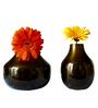 Kipley Brown Iron (Pack of 2) Vases