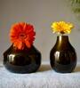 Kipley Brown Iron (Pack of 2) Vases