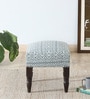 Kirit Fabric Seating Stool In Blue Color