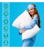 Kirk Microfiber 27 x 17 Inch Pillows (Set of 2)