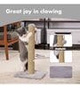 Kitten Scratching Post In Grey Colour