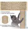 Kitten Scratching Post Medium Size In Grey Colour