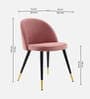 Kiyaa Velvet Dining Chair In Champagne Colour