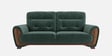 Kosmo Latina 2 Seater Sofa In Green Color