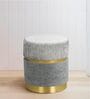 Kobe Velvet Pouffe In Grey Colour