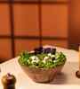 Kosha Acacia Wood Multipurpose Bowl (Medium)