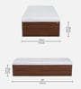 Kosmo Day Single Bed in Rigato walnut Finish with Box Storage