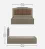 Kosmo Eternia King Size Bed With Melamine Finish In Modern Ash Colour