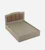 Kosmo Eternia Queen Size Bed With Melamine Finish In Modern Ash Colour