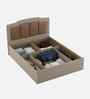 Kosmo Eternia Queen Size Bed With Melamine Finish In Modern Ash Colour