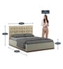 Kosmo Hamilton King Size Bed High Gloss Cashmere Finish with Hydraulic Storage