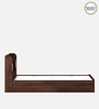 Kosmo Jude  Queen Size Bed in Sheesham Melamine Finish with Box Storage