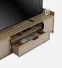 Kosmo Linea TV Unit With Melamine Finish In Santana Oak Colour