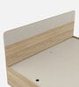 Kosmo Noah King Bed In Melamine Finish With Box Storage