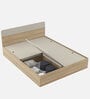 Kosmo Noah King Bed In Melamine Finish With Box Storage
