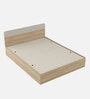 Kosmo Noah Queen Bed In Melamine Finish With Box Storage