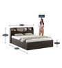 Kosmo Opal Queen Size Bed in Fumed Oak Finish with Box Storage