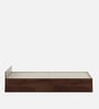 Kosmo Sage King Bed With Box Storage In Walnut Finish