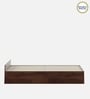 Kosmo Sage King Bed With Box Storage In Walnut Finish