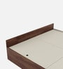 Kosmo Sage Queen Bed With Box Storage In Walnut Finish