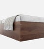 Kosmo Sage Queen Bed With Box Storage In Walnut Finish