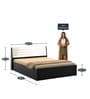 Kosmo Viva Queen Size Bed In Natural Wenge Finish with Box & Hydraulic Storage