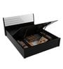 Kosmo Viva Queen Size Bed In Natural Wenge Finish with Box & Hydraulic Storage
