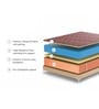 Kozy HR 4 inches HR Foam Queen Size Mattress