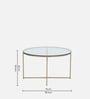 Krenz Metal Nesting Coffee Table Set In Brass Finish With Glass Top