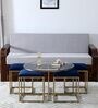 Krenz Metal Nesting Coffee Table Set In Brass Finish With Glass Top