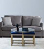 Krenz Metal Nesting Coffee Table Set In Brass Finish With Glass Top