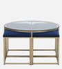 Krenz Metal Nesting Coffee Table Set In Brass Finish With Glass Top