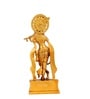 Krishna Muralidhar Brass Religious Idol