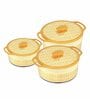 KRYSTAL White Plastic & Steel 3Pcs Insulated Thermoware Casserole