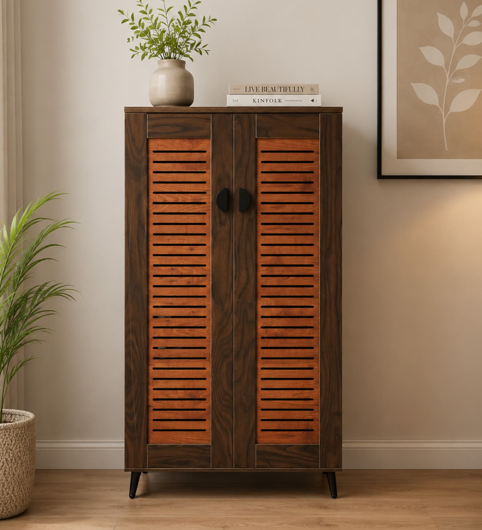 Kumi 2 Door Shoe Cabinet in Dual  Finish
