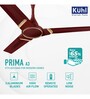 KUHL Prima A3 Stylish BLDC Fan, 28W, Low Noise 5-Star Rated, Brown