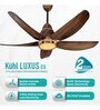 KUHL Stylish Luxus C5 Teakwood BLDC Technology Fan (Brown)