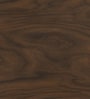 Kumi 2 Door Shoe Cabinet in Dual  Finish