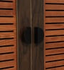 Kumi 2 Door Shoe Cabinet in Dual  Finish