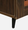 Kumi 2 Door Shoe Cabinet in Dual  Finish