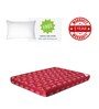 Kurlo Bond Single Bed 75x36x5 Coir Mattress (Free Pillow)