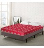 Kurlo Bond Queen Bed 75x60x5 Coir Mattress (Free Pillows with Bedsheet)