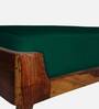 Kyler Solid Wood Bench In Intense Green Color