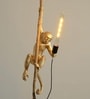 Kyoto Monkey Resin Pendant Ceiling Light E27 Black