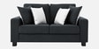 Ladybug Fabric 2 Seater Sofa in Charcoal Grey Colour