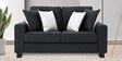 Ladybug Fabric 2 Seater Sofa in Charcoal Grey Colour