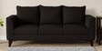 Conseja Fabric 3 Seater Sofa in Chestnut Brown Colour
