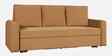 Lavista 3 Seater Sofa Cum Bed With Pull-Out Mechanism In Brown Colour