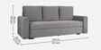 Lavista 3 Seater Sofa Cum Bed With PullOut Mechanism In Grey Colour