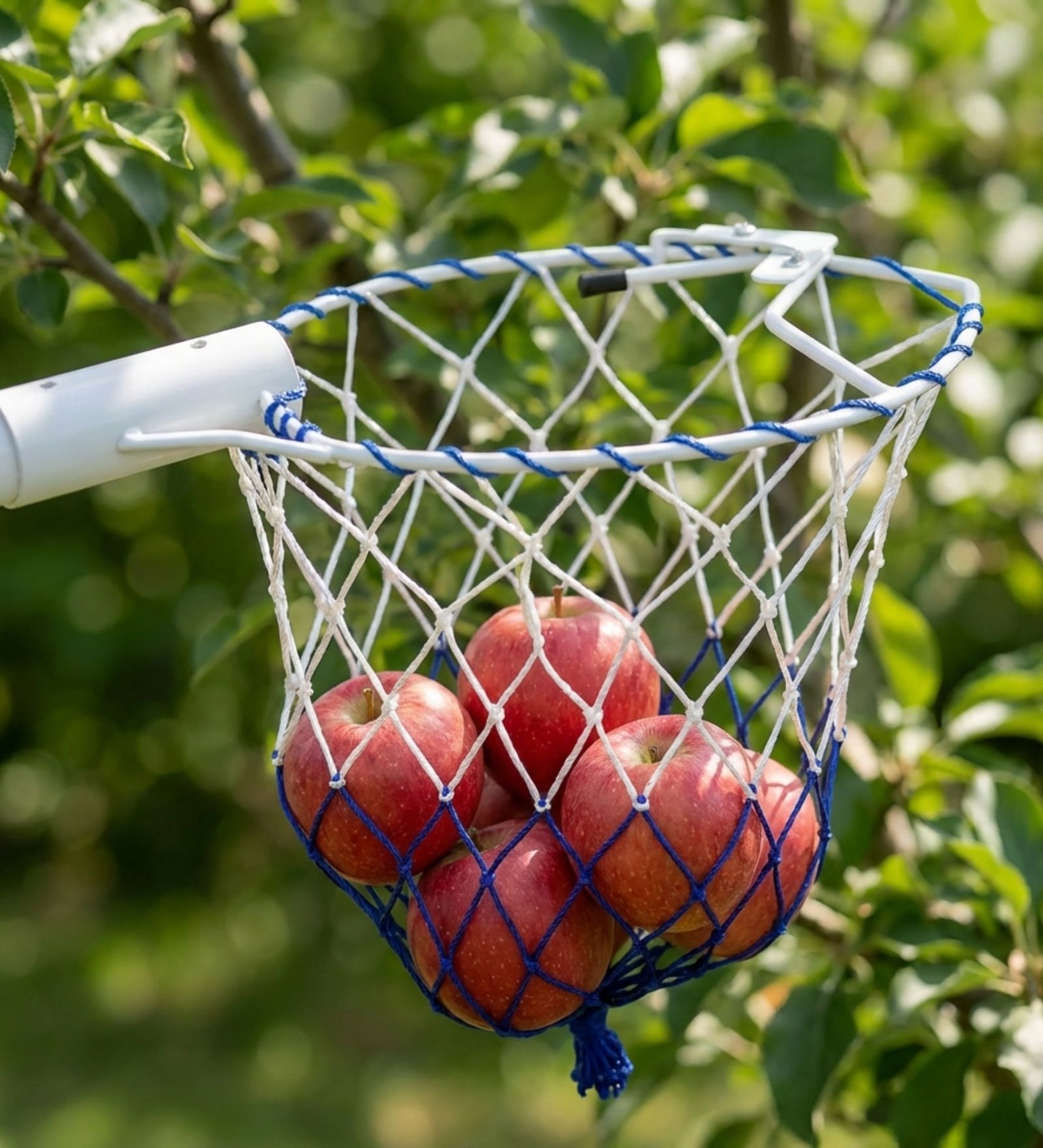 Blue And With Fruit Picker Head with Net
